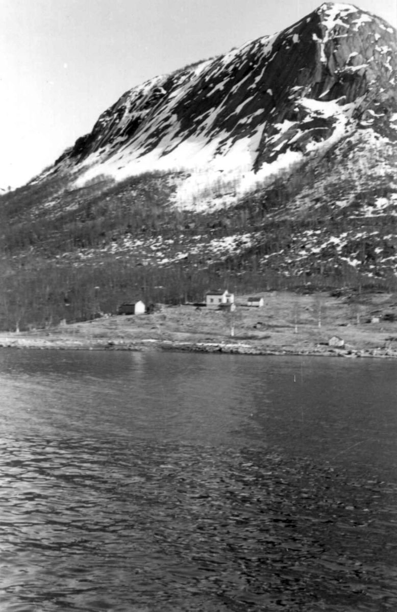 Samisk bosetting, Ness, Grundfjordpollen, fotografert før august 1959.