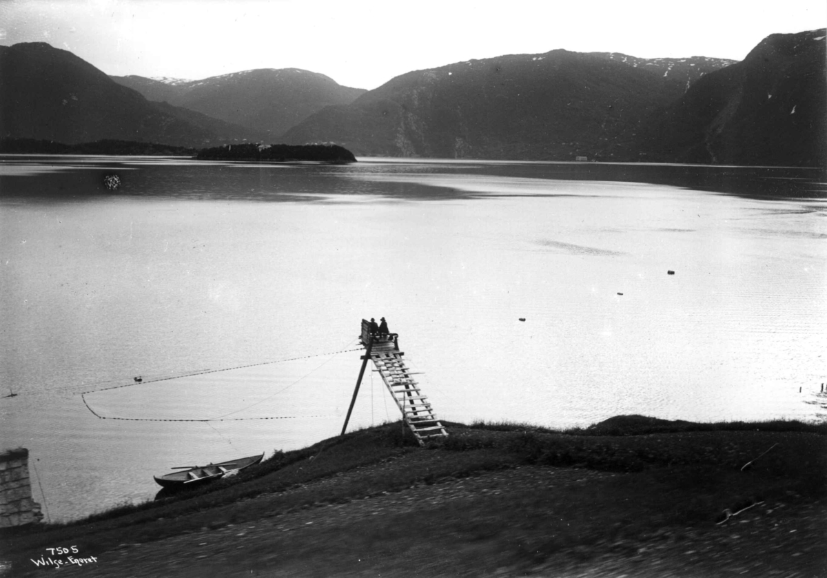 Laksevarp med lakse-gildre. Antakelig fra Ulvnesøy i Sørfjorden i Hordaland. Øya hadde et skolehjem fram til 1981.