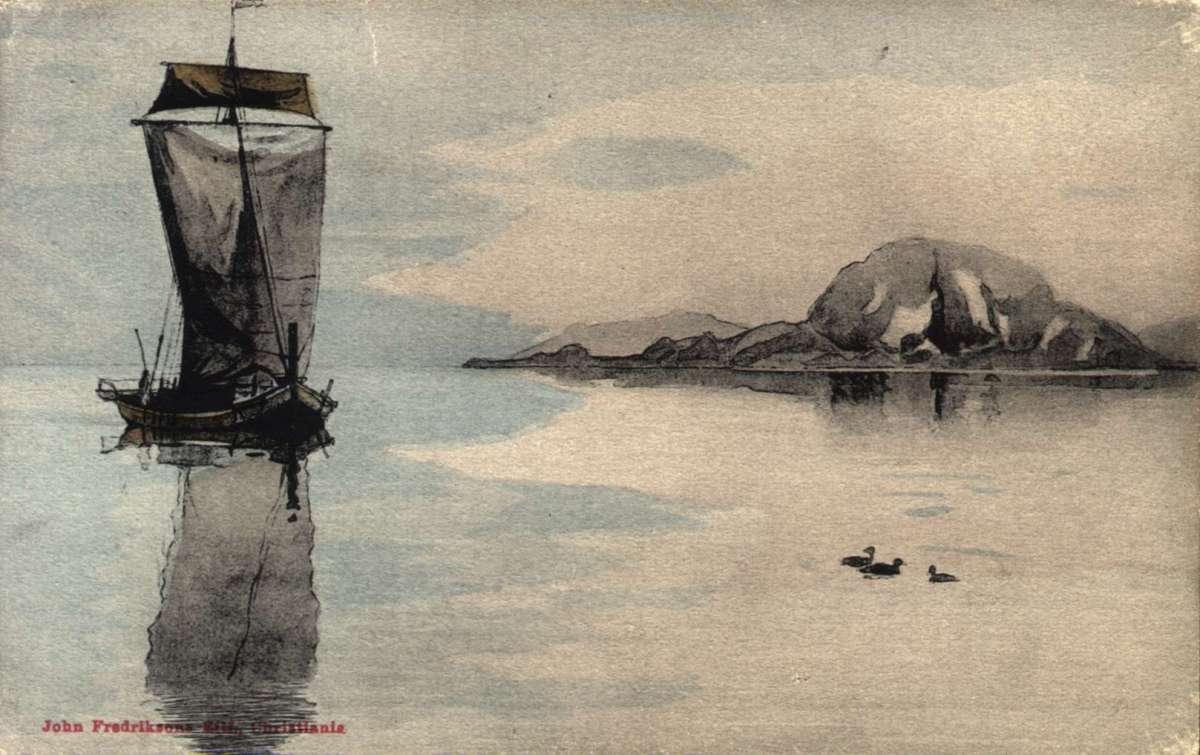 Postkort. Nyttårshilsen. En seilskute er ute på sjøen. Noen fugler er ute og svømmer. En holme ses i bakgrunnen. Stemplet 30.12.1905.