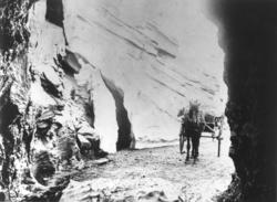 Veiparti med hest og tohjulet hestekjøretøy, gigg eller reis