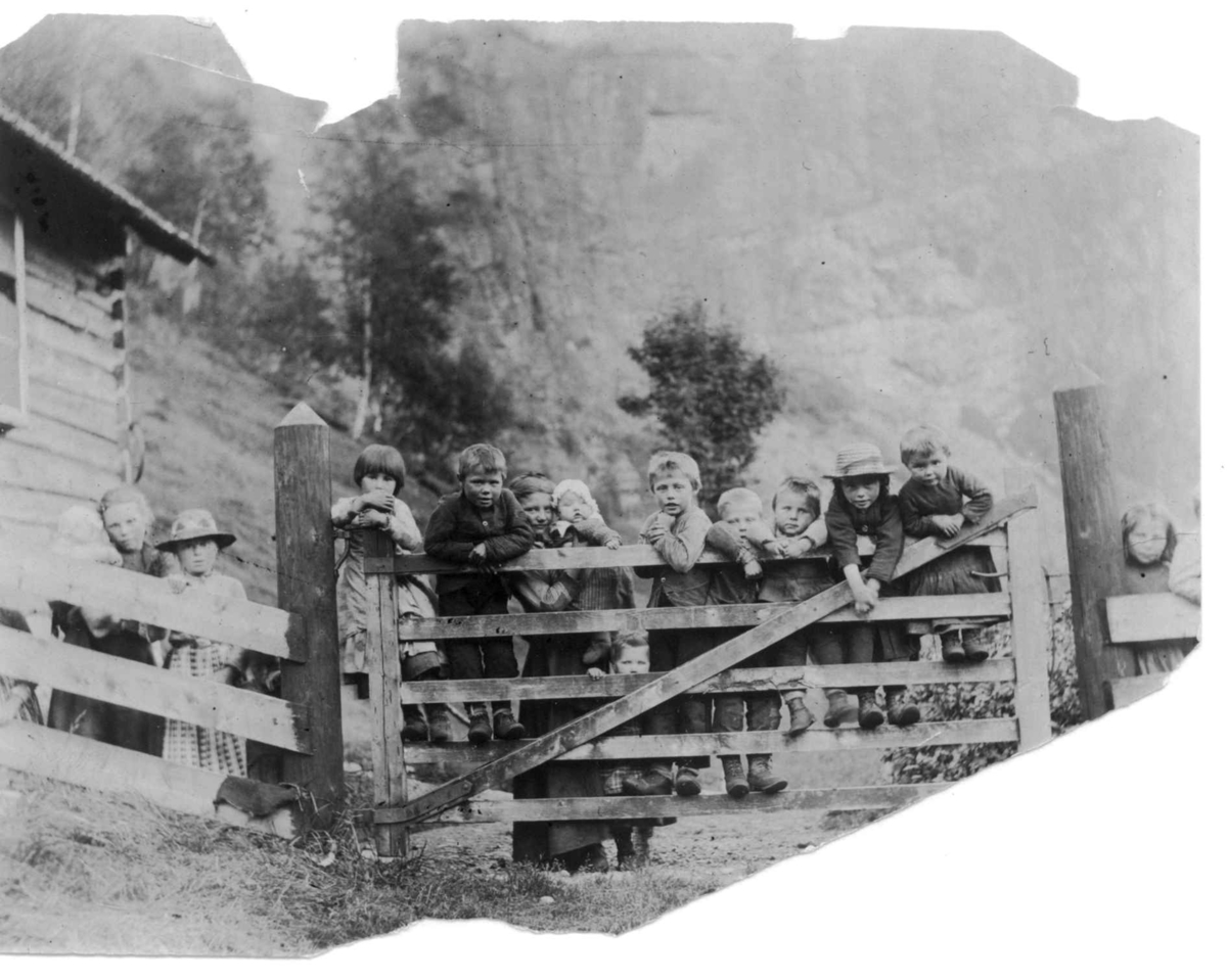 Gruppe barn ved grind, Voss, Hordaland.
Serie tatt av Robert Collett (1842-1913), amatørfotograf og professor i zoologi. 