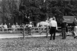 Vognkavalkaden 1977.