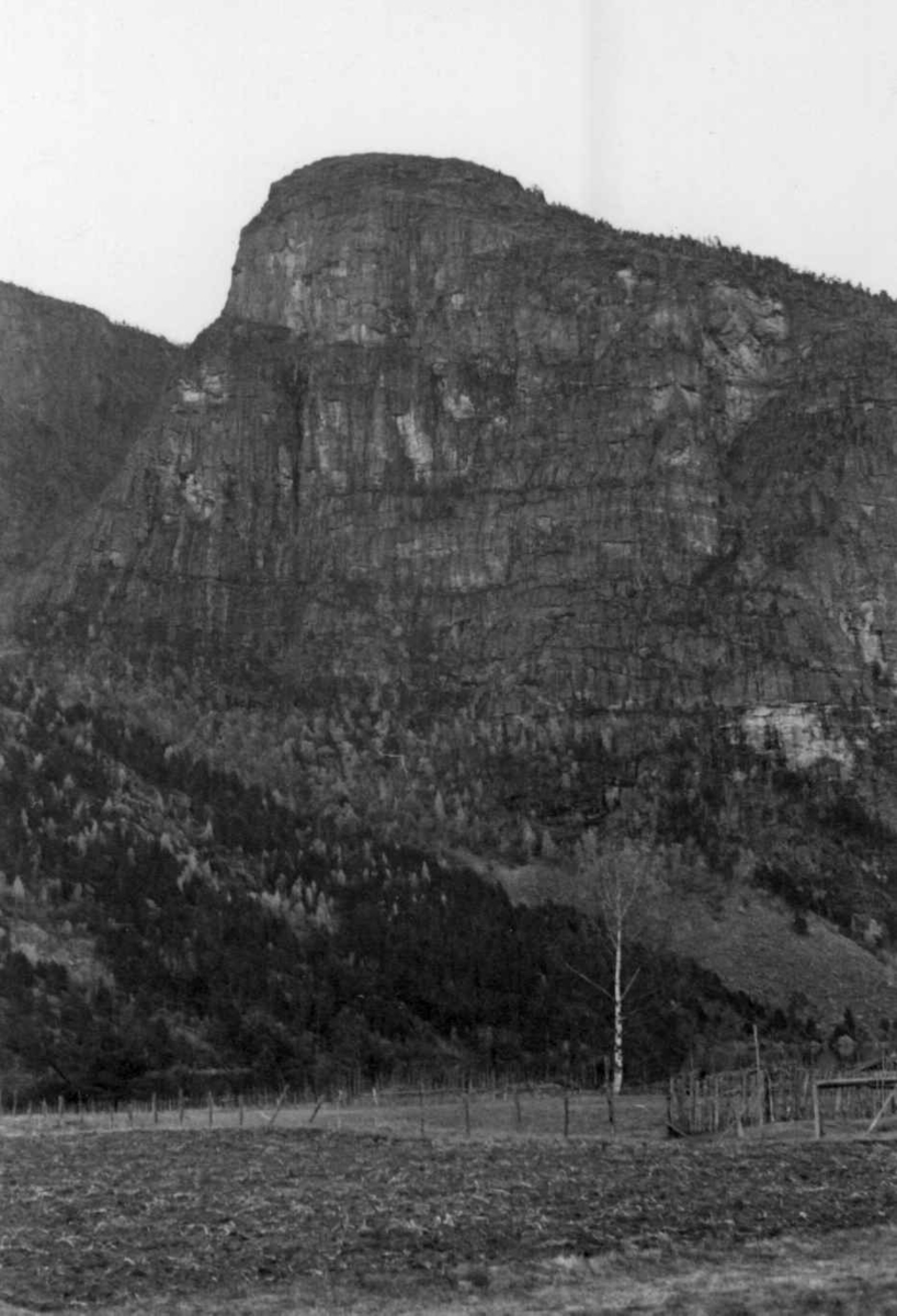 Et fjell ved Rysstad i Valle 1938.