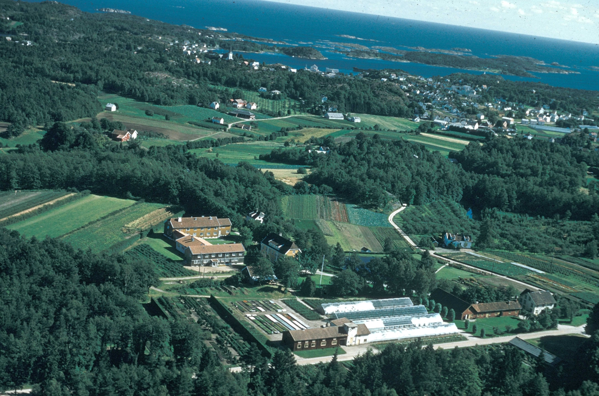 Flyfoto fra Dømmesmoen - Statens Hagebruksskole.