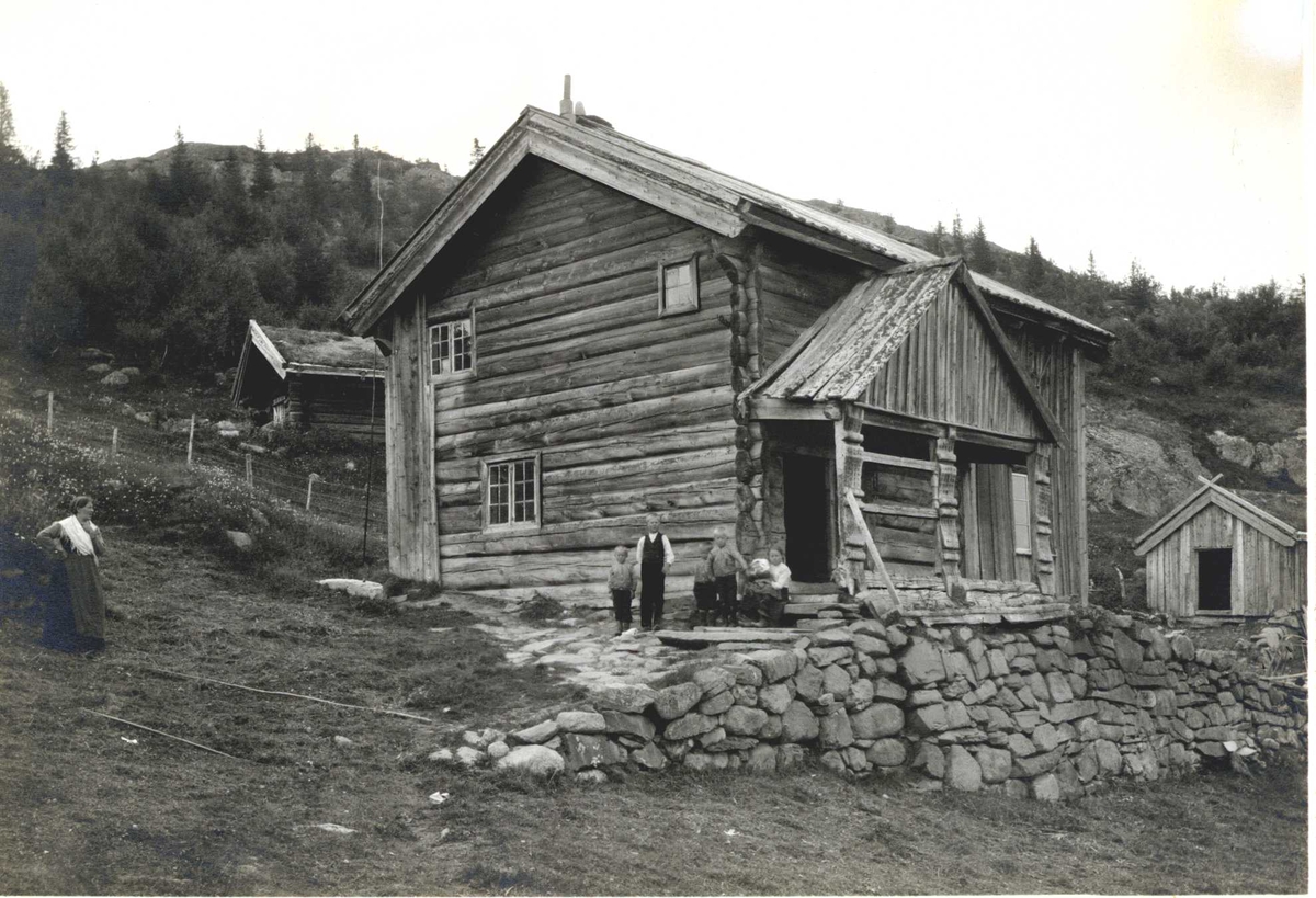 Våningshus, Røyndal, Øyfjell, Vinje, Telemark. Fotografert 1917. Kvinne og barn stående ved trappen.
