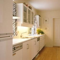 Nytt grovkjøkken/vaskerom i gammelt hus. Illustrasjonsbilde 