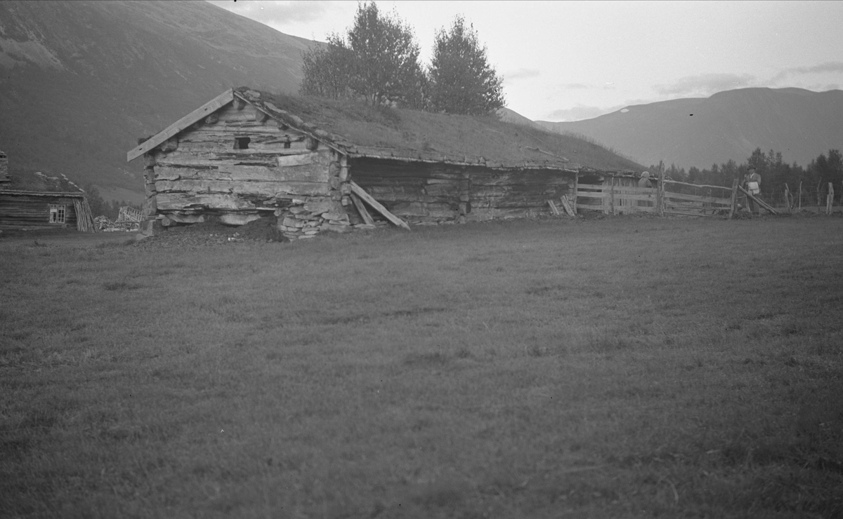 Seterfjøs, Sandøya, Ångardsvatnet, Storlidalen, Oppdal, Sør-Trøndelag. Fotografert 1937. Fra album. 