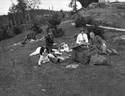 To kvinner og to menn raster med en hund. Robsahm og Lund.