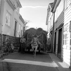 Sogndalsstranda, Sokndal, Rogaland, juli 1956. Gatebilde med