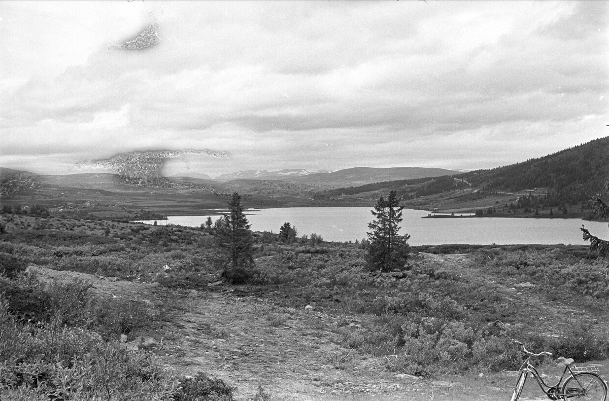 Fra Valdres juli 1967.  Sykkel forlatt i landskapet i Vang.