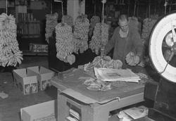 Oslo, 01.06.1956, Banan-Mathiesen, fra bananmodneriet.