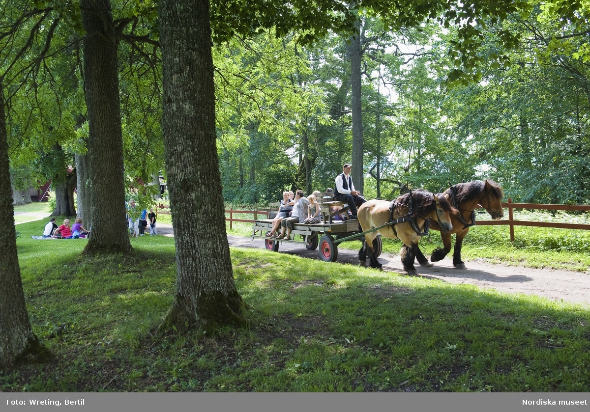 Jordbrukets dag på Julita gård. Rundtur med häst och vagn i parken på Julita gård.