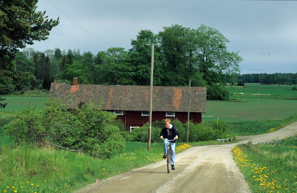 Pojke cyklar på grusväg i Äsplunda, Breds socken, Uppland 1991