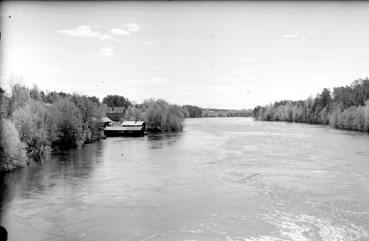 Dalälven vid Överboda, Älvkarleby socken, Uppland 1962