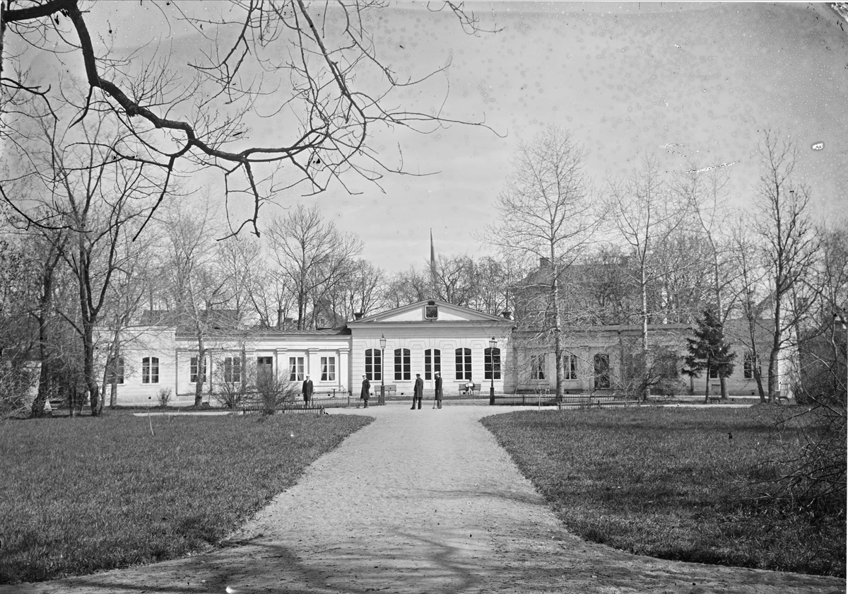 Krocketspel i Linnéträdgården, kvarteret Örtedalen, Uppsala 1870-tal