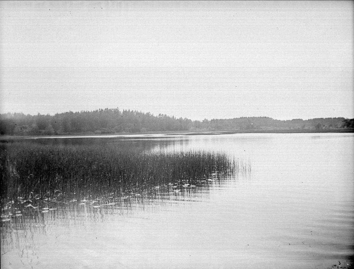 Södersjön, Almunge socken, Uppland juni 1933