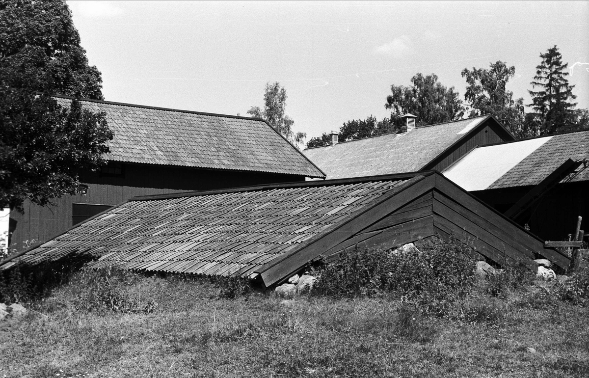 Jordkällare, Lund 3:1, Björklinge socken, Uppland 1976