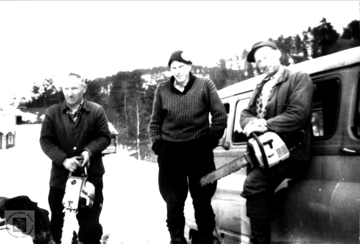 Skogsarbeidere på Stedjan, Bjelland.