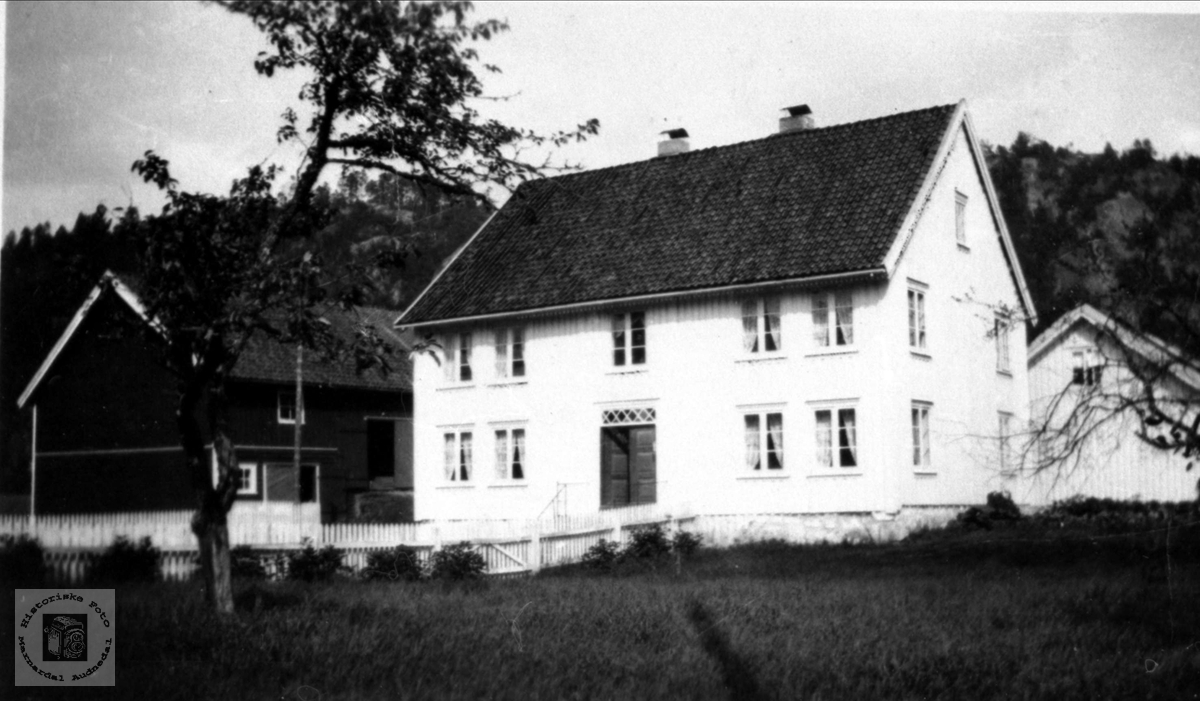 Eier Olav Holmegård. Gardsbruk Heddeland 84.3 i Øyslebø.
