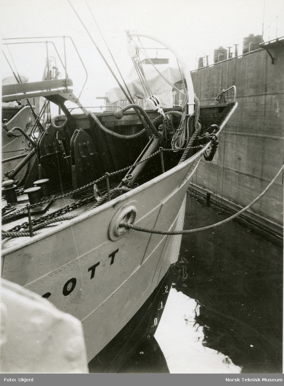 Eksteriør, baugen til hvalfangstskipet D/S Scott, (senere omdøpt til D/S Dan), B/N 423 ved Akers Mek. Verksted. Skipet ble levert av Akers mek. Verksted i 1925 til Joh Rasmussen & Co, Sandefjord.