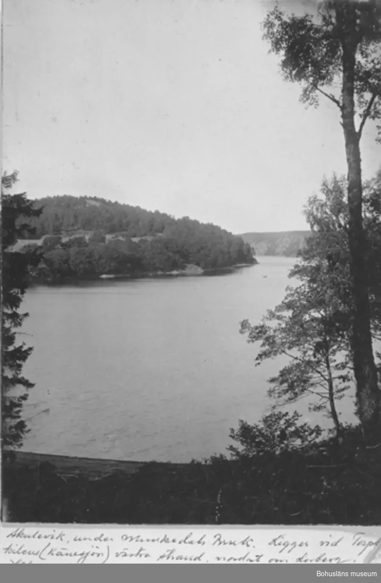 Text till Kortet: "Skuleviken under Munkedals Bruk. Ligger vid Torpskilen (Kärnsjön) västra strand. Nordost om Lerberg i Håby socken"