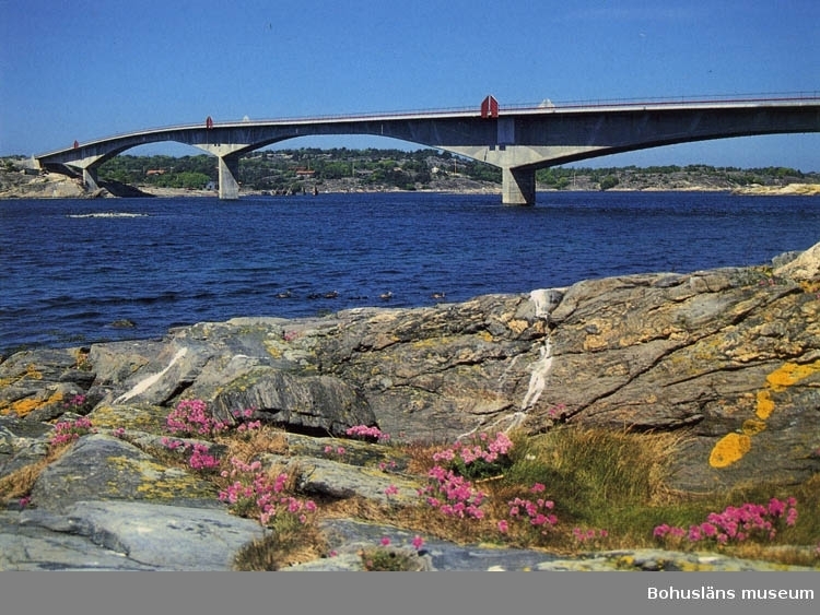 "Den nya Instöbron (invingd 17 maj 1991). Blommorna i förgrunden är Trift (Strandgossarna). Strax utanför passerar en ejderfamilj".