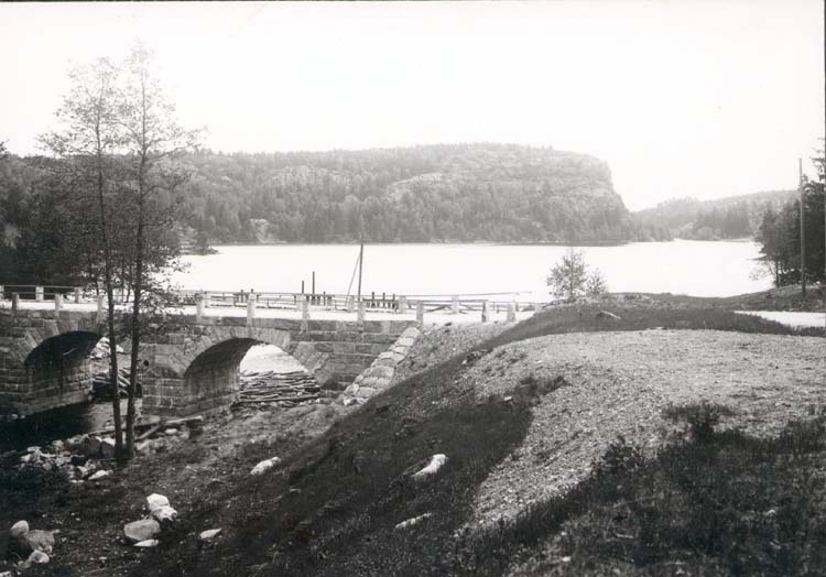 Noterat på kortet: "Vassbotten."
"Sjön v. Nära Munkedal."
"Foto (D90) Dan Samuelsson 1924. Köpt dec. 58 av dens."