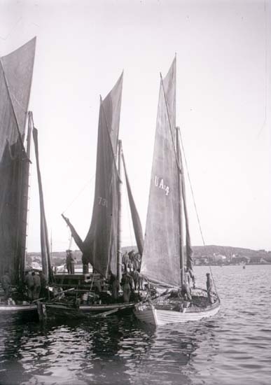 Enligt text som medföljde bilden: "Garnbåtar vid ångbåtsbryggan. Sept. 02".