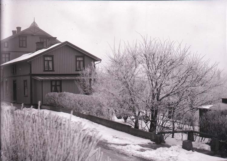 Enligt text som medföljde bilden: "Lysekil, Vårt hus o. trädgård i rimfrost 23/2 1902."