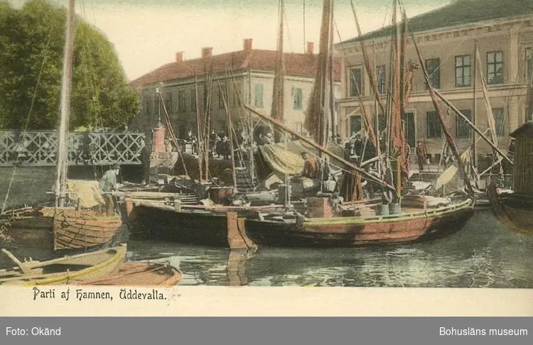 Tryckt text på vykortets framsida: "Parti af hamnen Uddevalla."