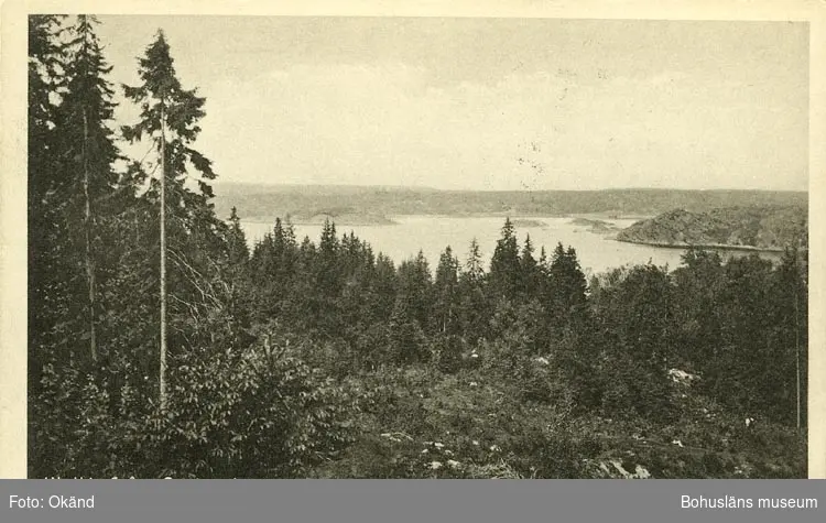 Tryckt text på vykortets framsida: "Utsikt från Gustavsberg."

