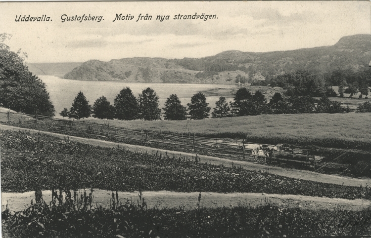 Tryckt text på vykortets framsida: "Uddevalla. Gustafsberg. Motiv från nya strandvägen."