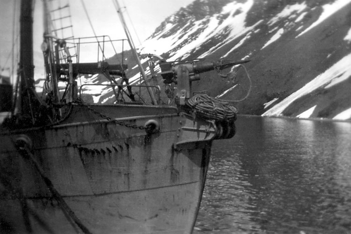 "Valfångare med harpunkanonen på fören, Norge" skrivet på baksidan.