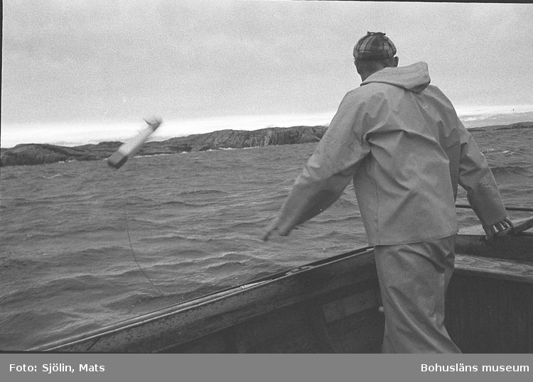 Hummerfiske i bohuslänska vatten år 1978