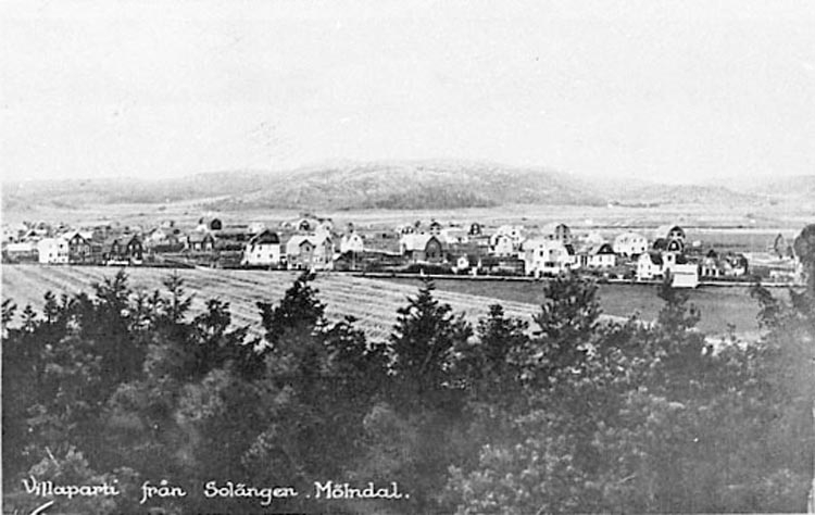 Text på negativets framsida: "Villaparti från Solängen Mölndal".
