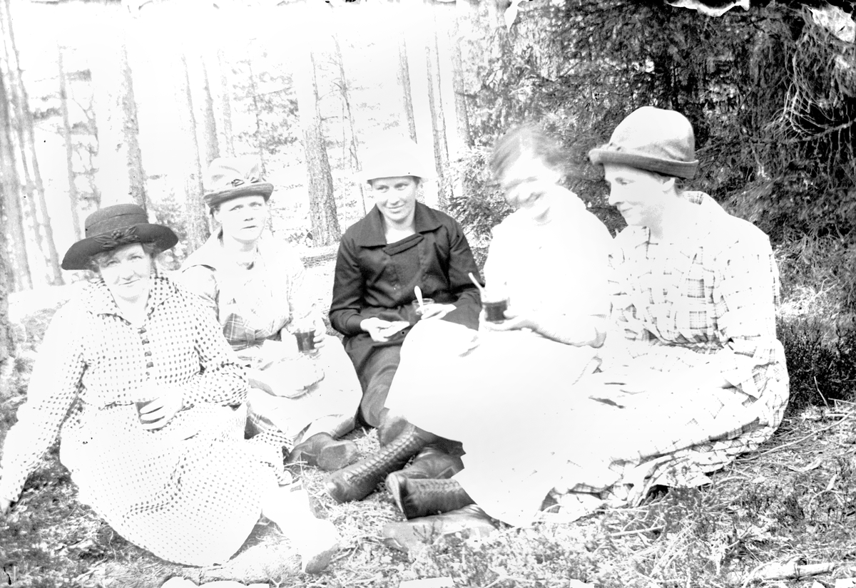 Fem kvinnor sitter och fikar i barrskogen.