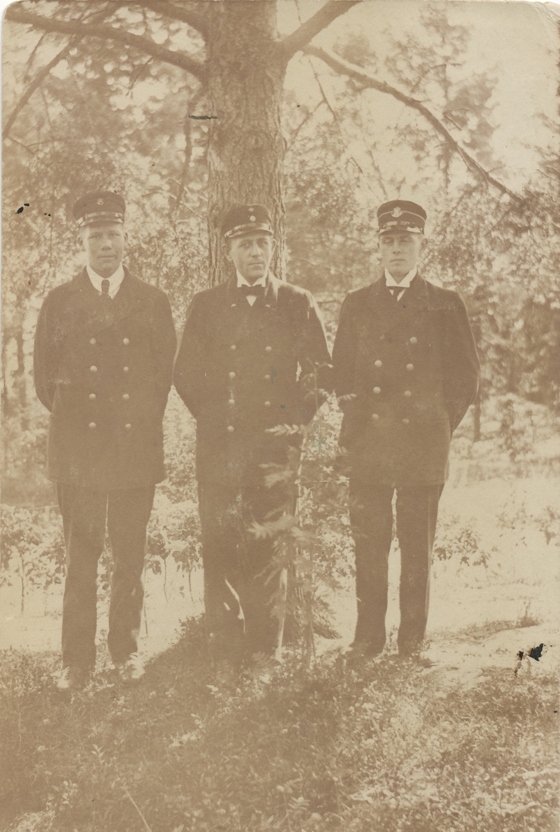 Fotografi av tre brevbärare i grönska.