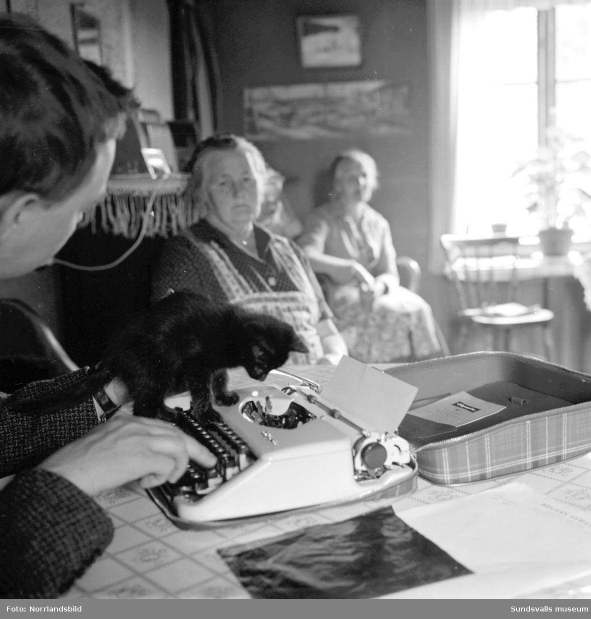 Reportagebilder från ett gammalt timmertorp i Hammarstrand. Två äldre kvinnor och en kattunge.