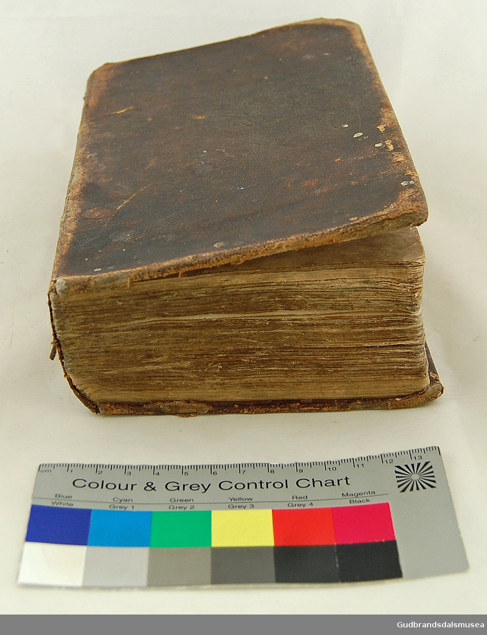 Postille av den lutherske presten Johann Arndt. Boken er rektangulær, har 195 sider (Paginert 195), de første sidene er paginert med romertall.