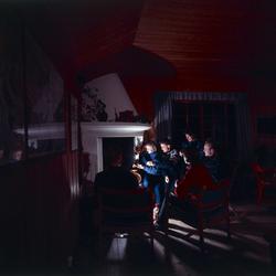 villa, interiør, peisestue, selskap, menn3, kvinner3