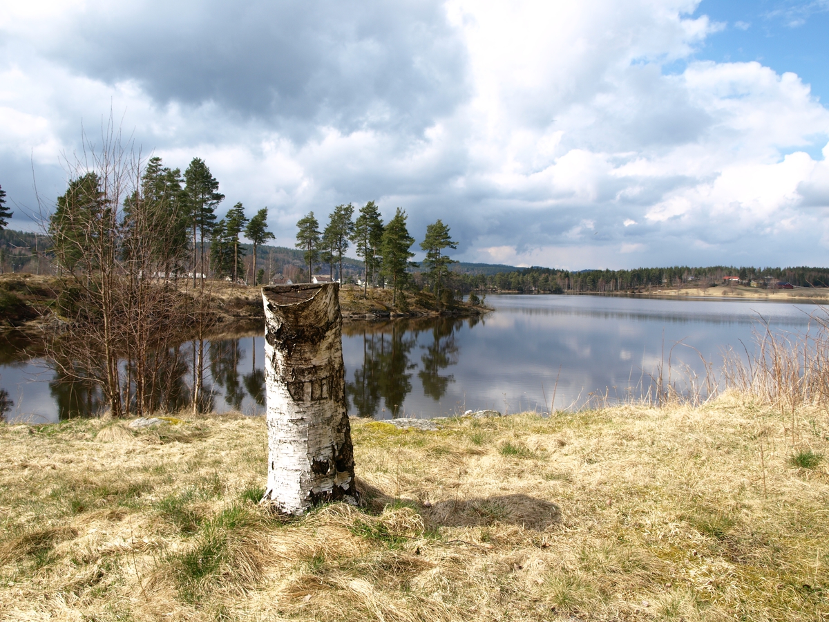 Ved Rödenessjöen har plassen tilgang til vann. Selve plassen er grassbevokset.