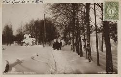 Bjørndalen, Fredrikstad.