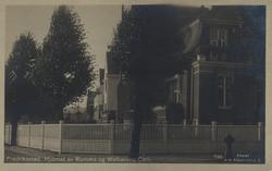 bolighus, jerde, trær,