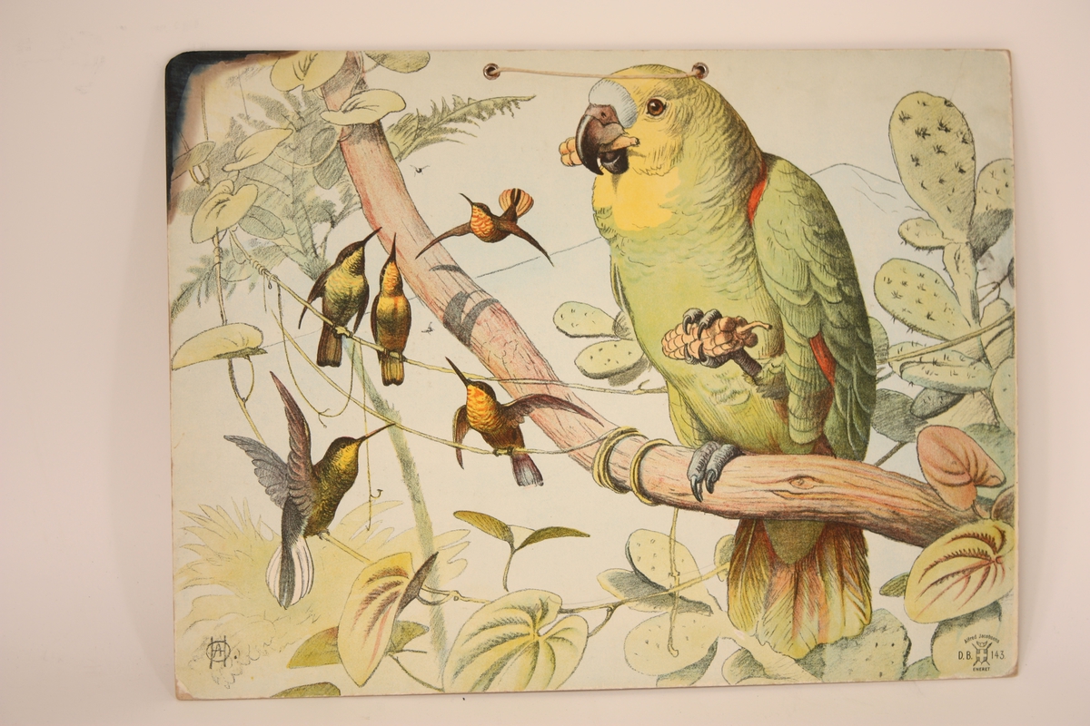 Papp-plansje med teikna og fargelagt motiv.
Motivet er ein flokk småfuglar og ein papegøye