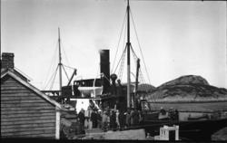 Bryllaupsfølgje på veg heim etter bryllaupet til Anna og Ber