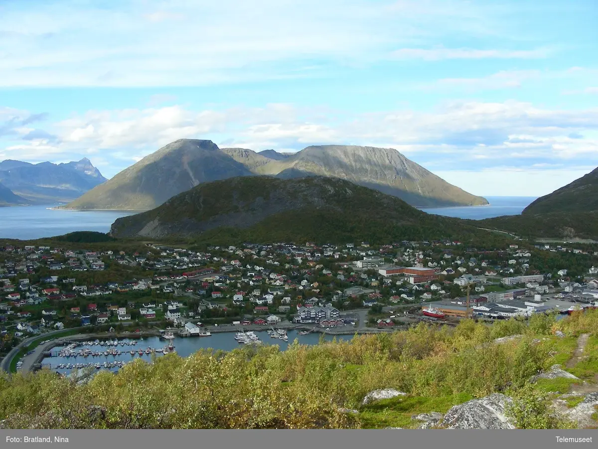 Radiolinjemast, fjernsynssforsterker, på Skjervøy i Nord-Troms