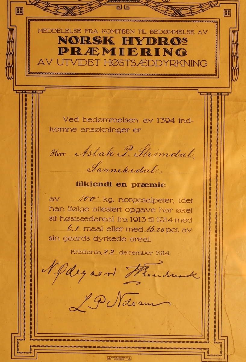 Diplom med glass og ramme.