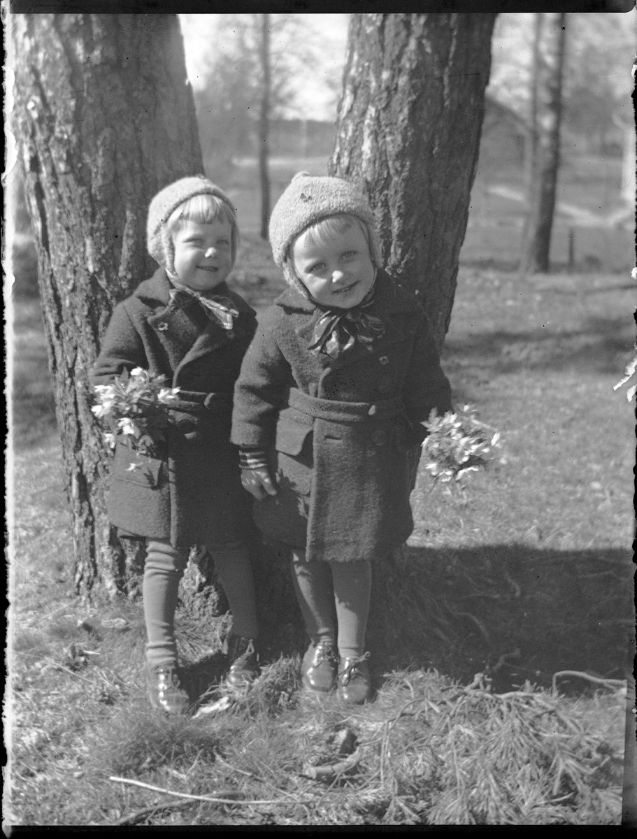 Vårbild i skogen (Trekanten): Gunnar och Bengt-Ola vid ett par trädstammar.