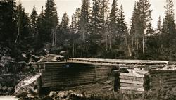 Dam med "skottegulv"
Grastjønndammen i Kålidalen, Granshera