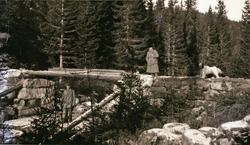 Mann og kvinne på jakt med fuglehund
Åkrokdammen i Kålidale